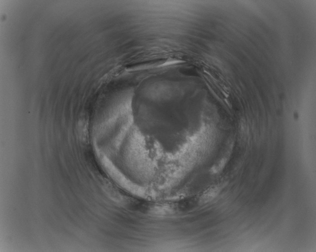 X0000067840177200604271629