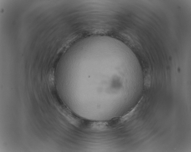 X0000067840179200604271629