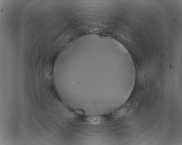 X0000067840181200604271629