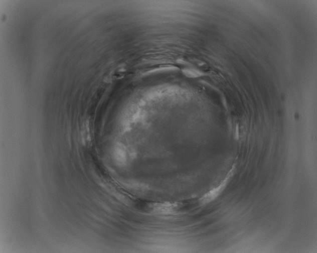 X0000067840182200604271629