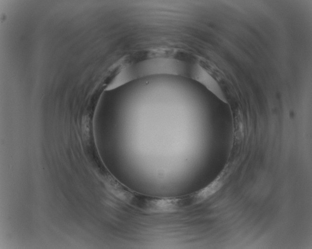 X0000067840184200604271629