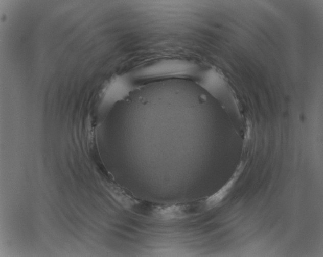 X0000067840186200604271629