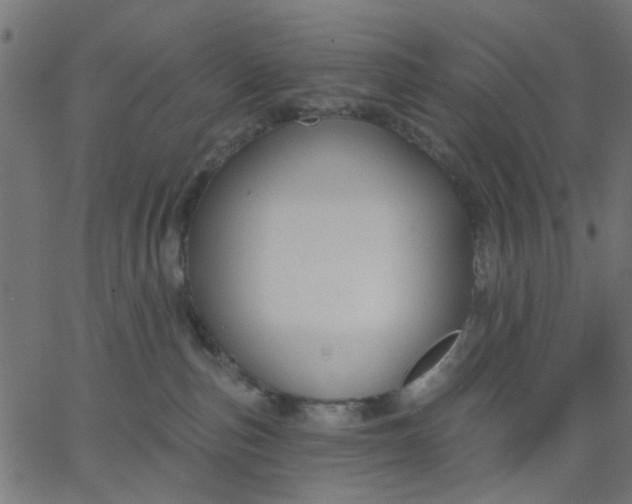 X0000067840187200604271629