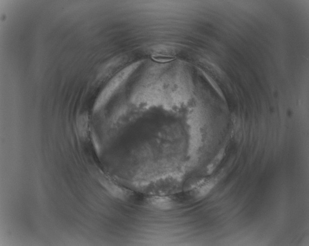 X0000067840189200604271629