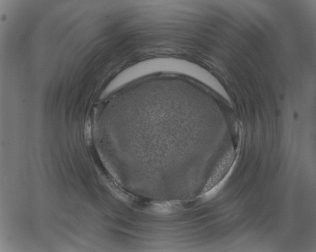 X0000067840190200604271629