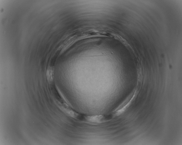 X0000067840191200604271629