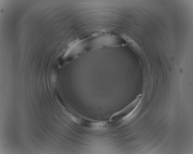 X0000067840192200604271629