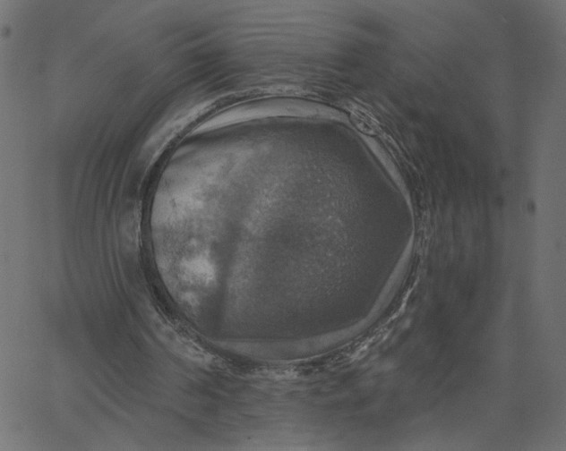 X0000067840194200604271628