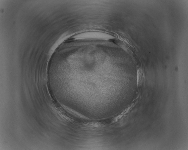 X0000067840195200604271628