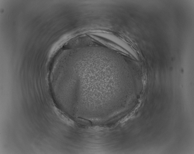 X0000067840197200604271628