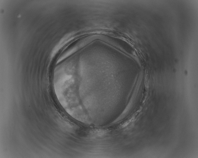 X0000067840198200604271628