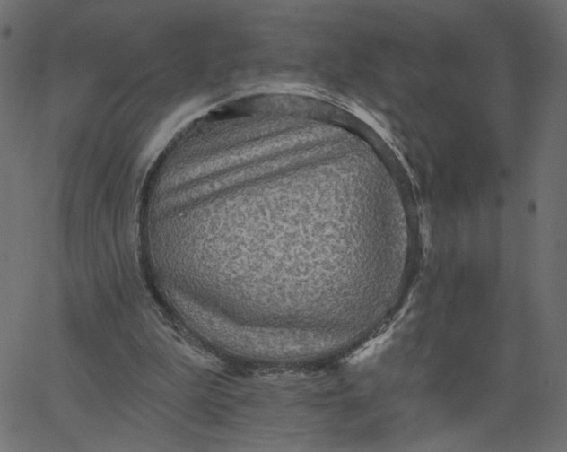 X0000067840199200604271628