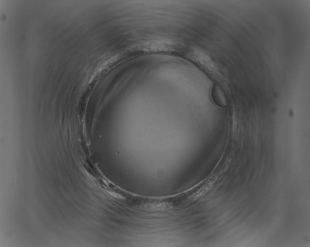 X0000067840202200604271628