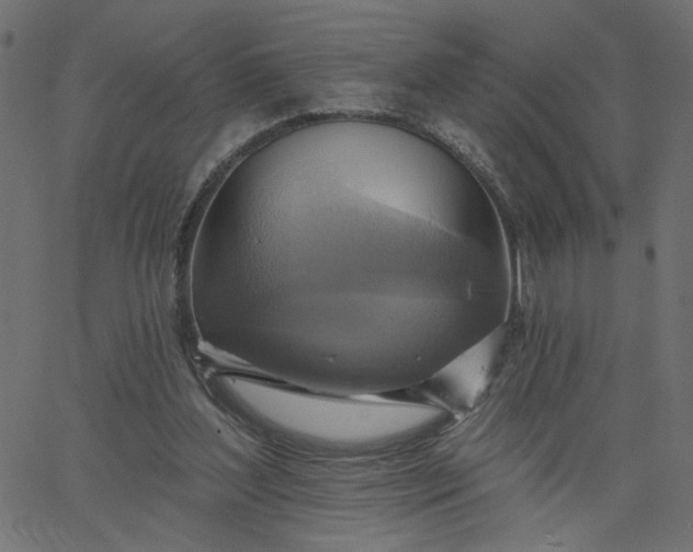 X0000067840204200604271628