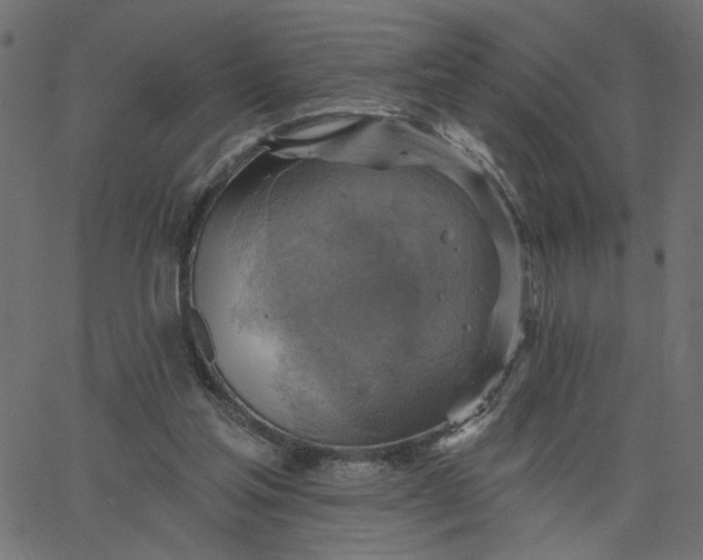 X0000067840205200604271628