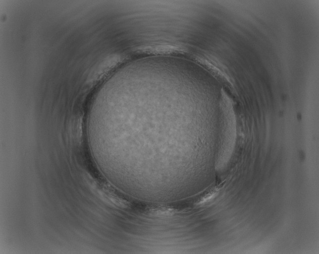 X0000067840206200604271628