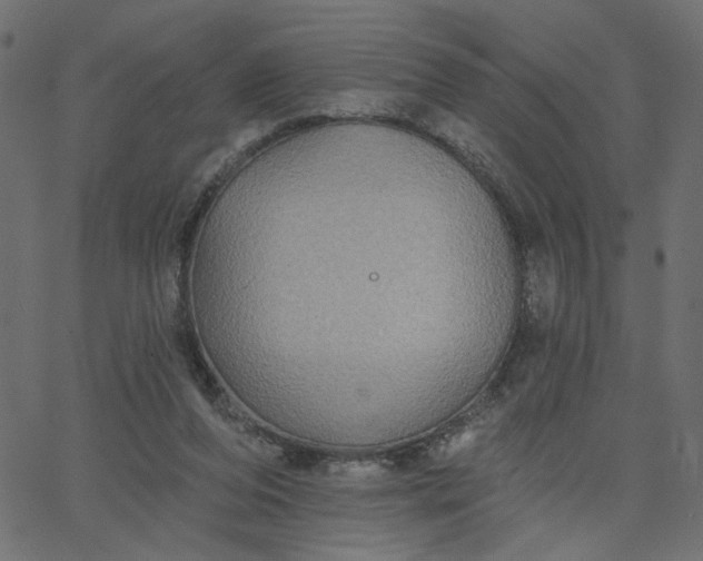 X0000067840208200604271628