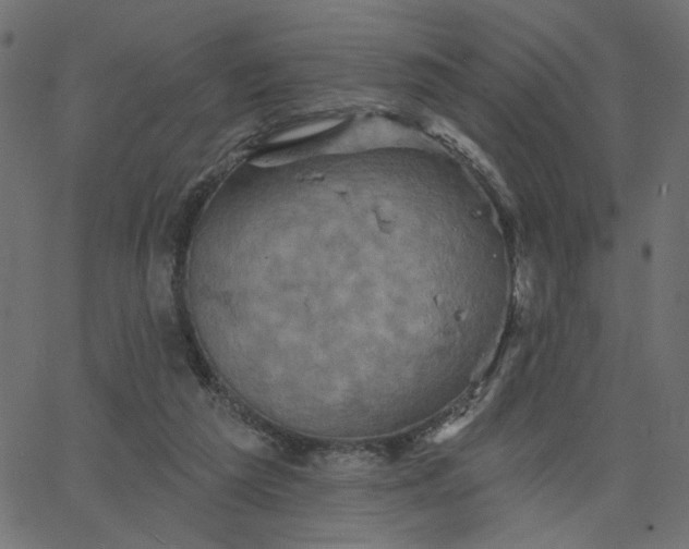 X0000067840209200604271628