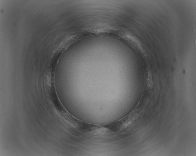 X0000067840210200604271628