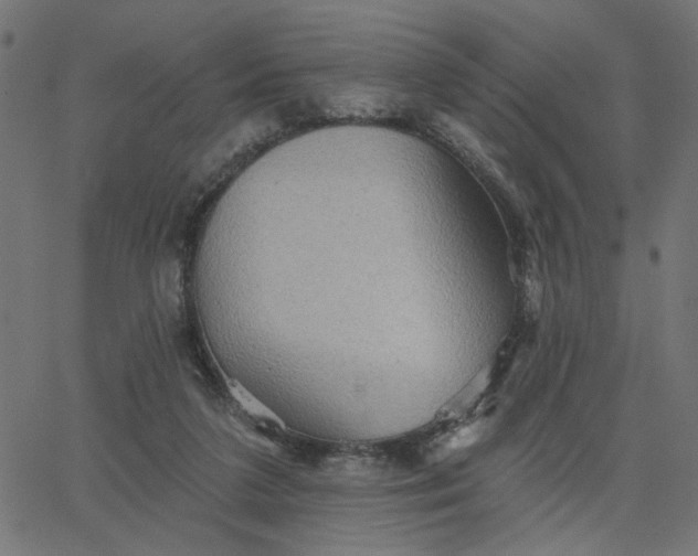 X0000067840211200604271628