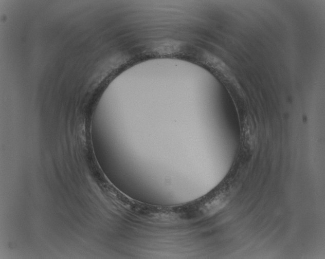 X0000067840212200604271628