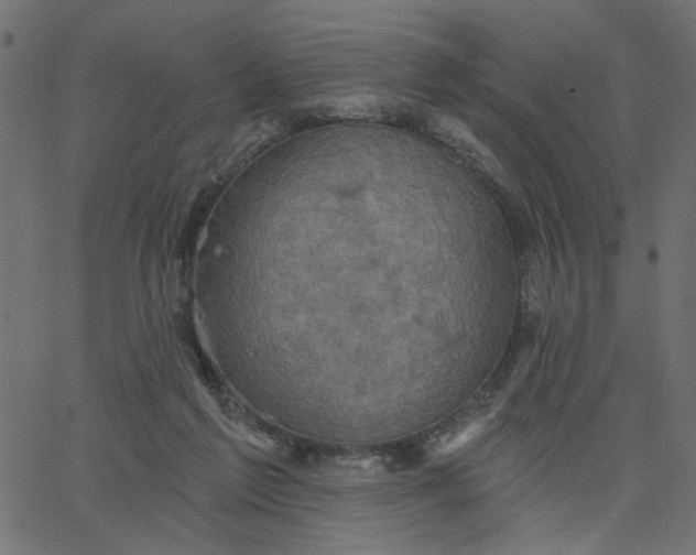 X0000067840213200604271628