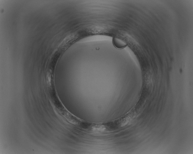 X0000067840214200604271628