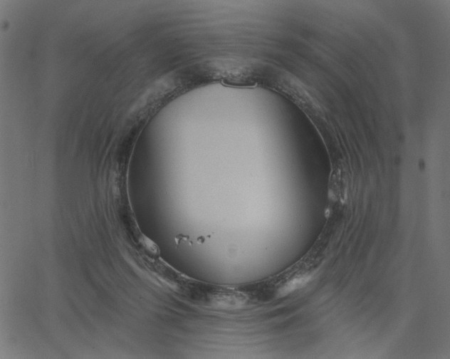 X0000067840215200604271628