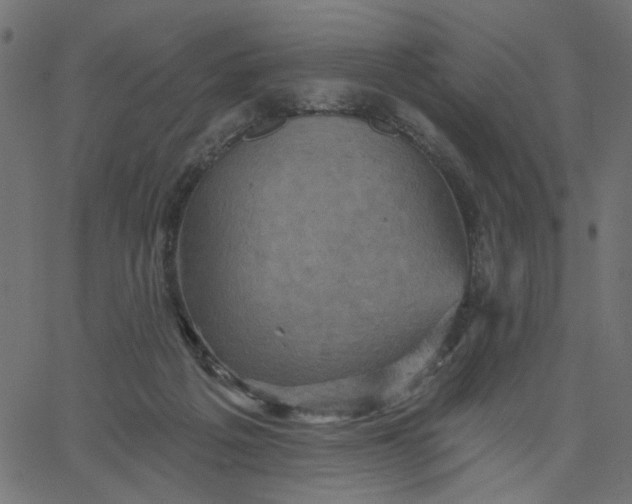 X0000067840217200604271628