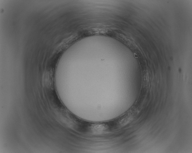 X0000067840218200604271628