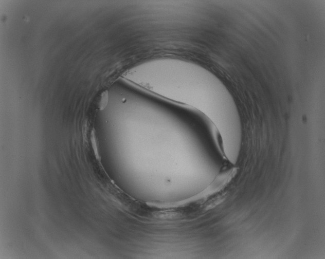 X0000067840219200604271628