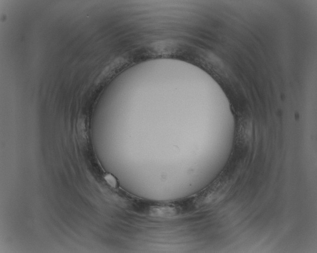 X0000067840220200604271628