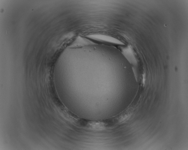 X0000067840221200604271628