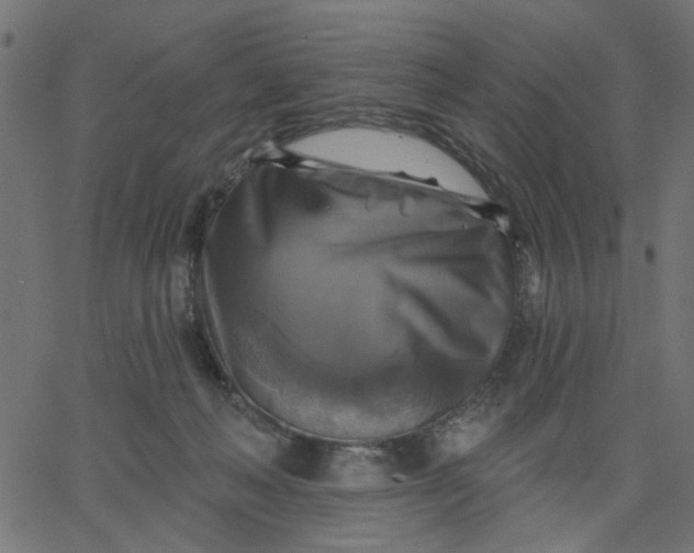 X0000067840222200604271628