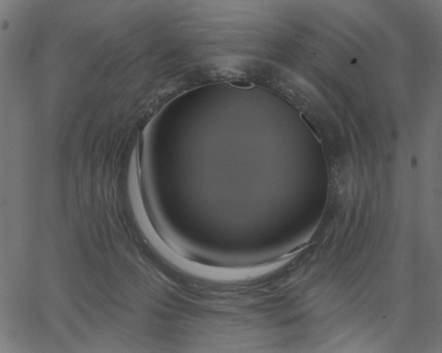 X0000067840223200604271628