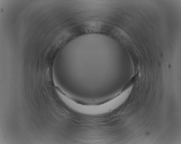 X0000067840224200604271628