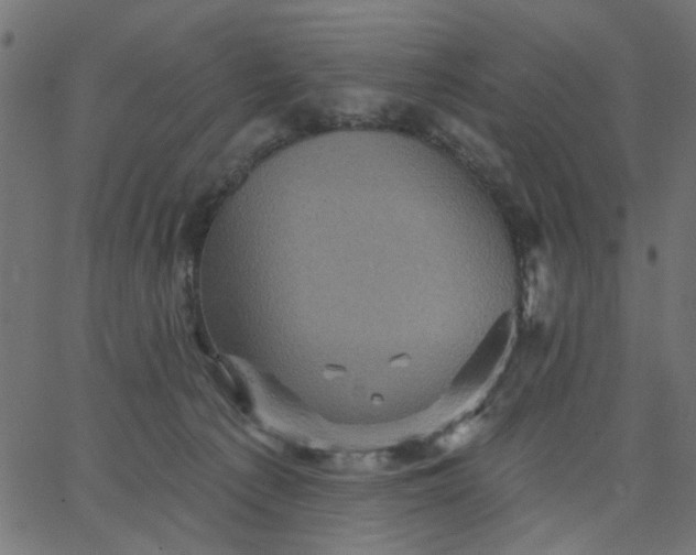 X0000067840225200604271628