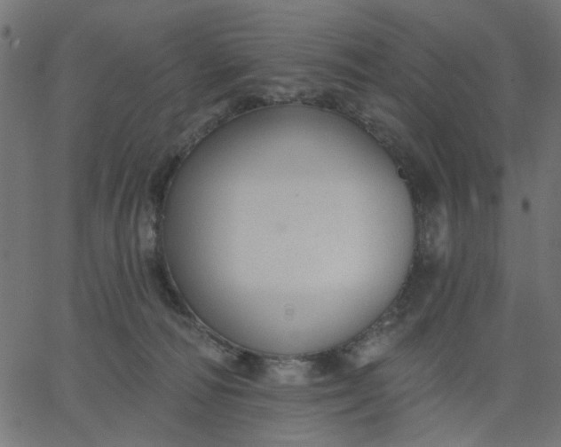 X0000067840226200604271628