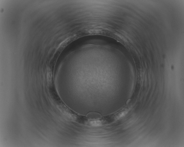 X0000067840228200604271628