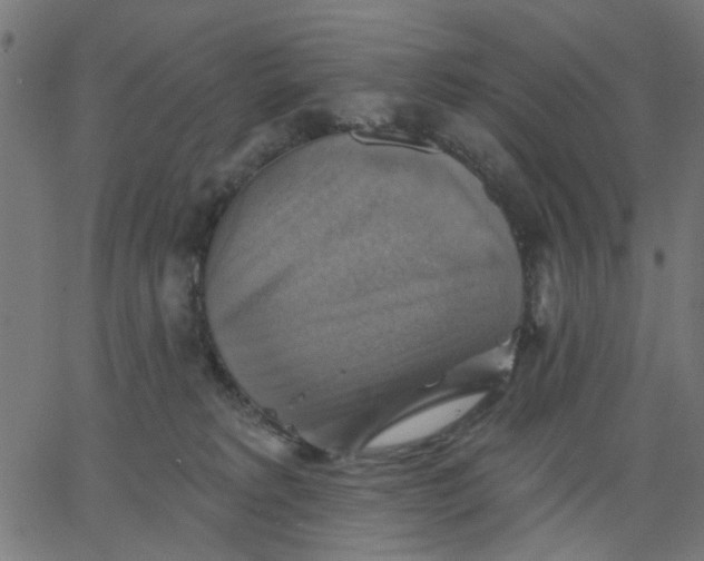 X0000067840229200604271627