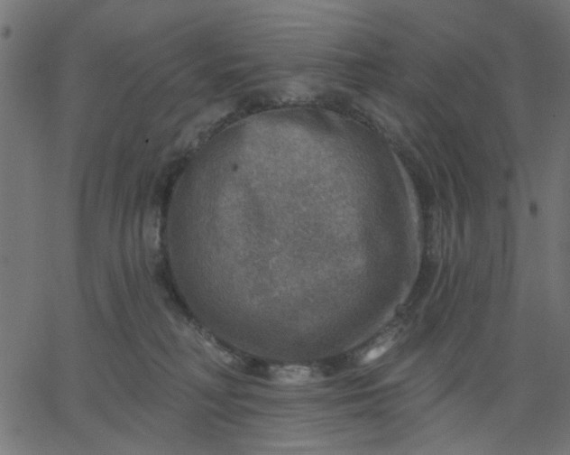 X0000067840230200604271627