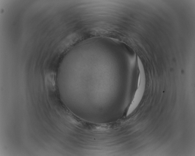 X0000067840232200604271627