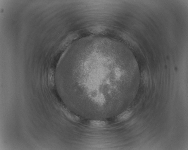 X0000067840234200604271627