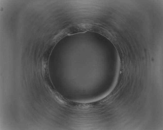 X0000067840235200604271627