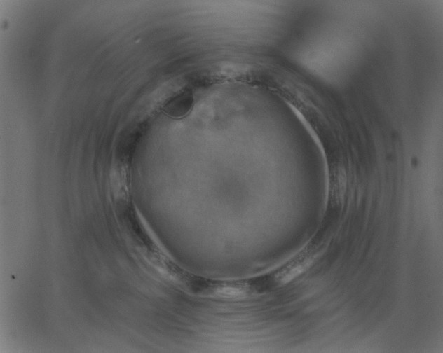 X0000067840236200604271627