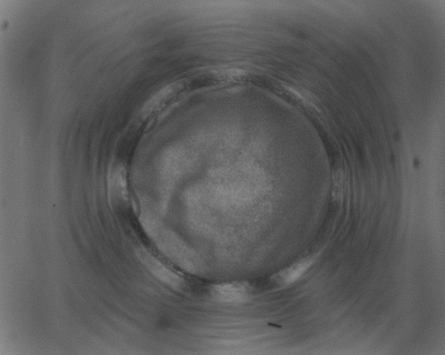 X0000067840238200604271627