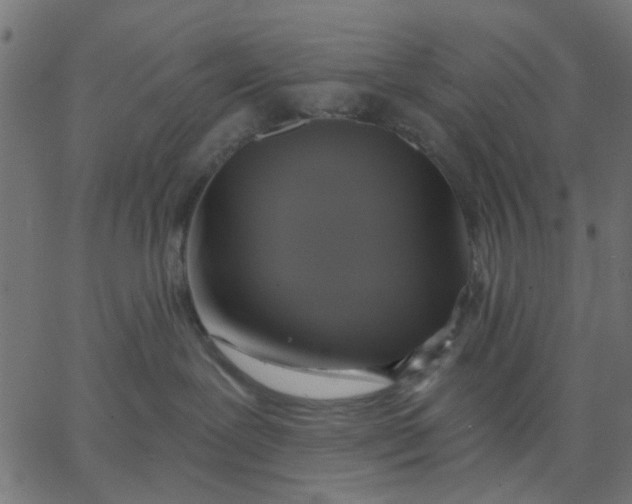 X0000067840239200604271627