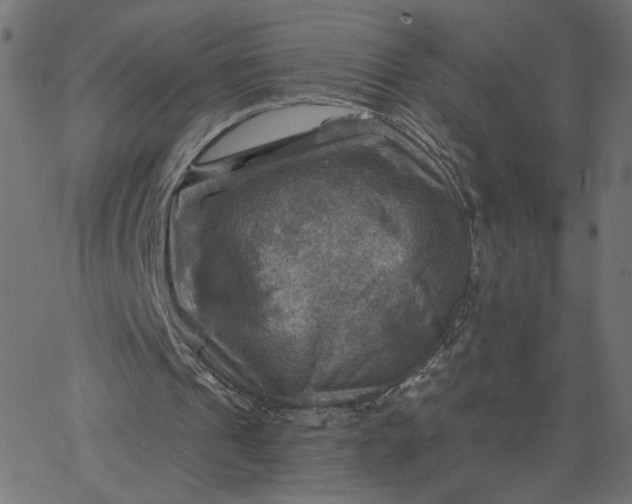 X0000067840241200604271627