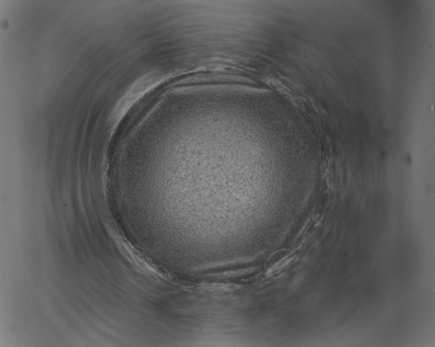 X0000067840242200604271627