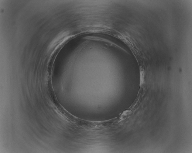 X0000067840243200604271627